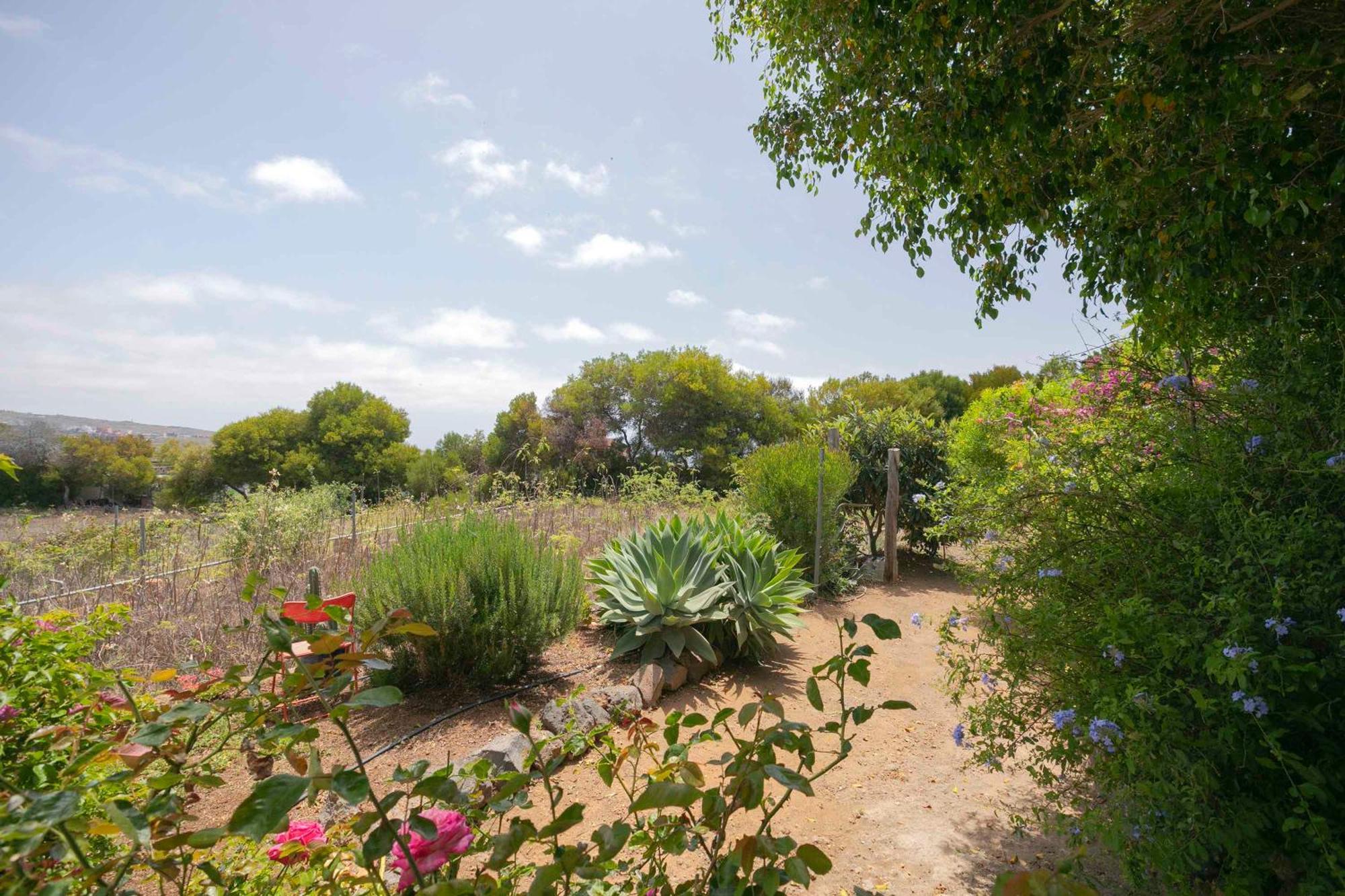 Casa Wayra Βίλα Granadilla De Abona Εξωτερικό φωτογραφία
