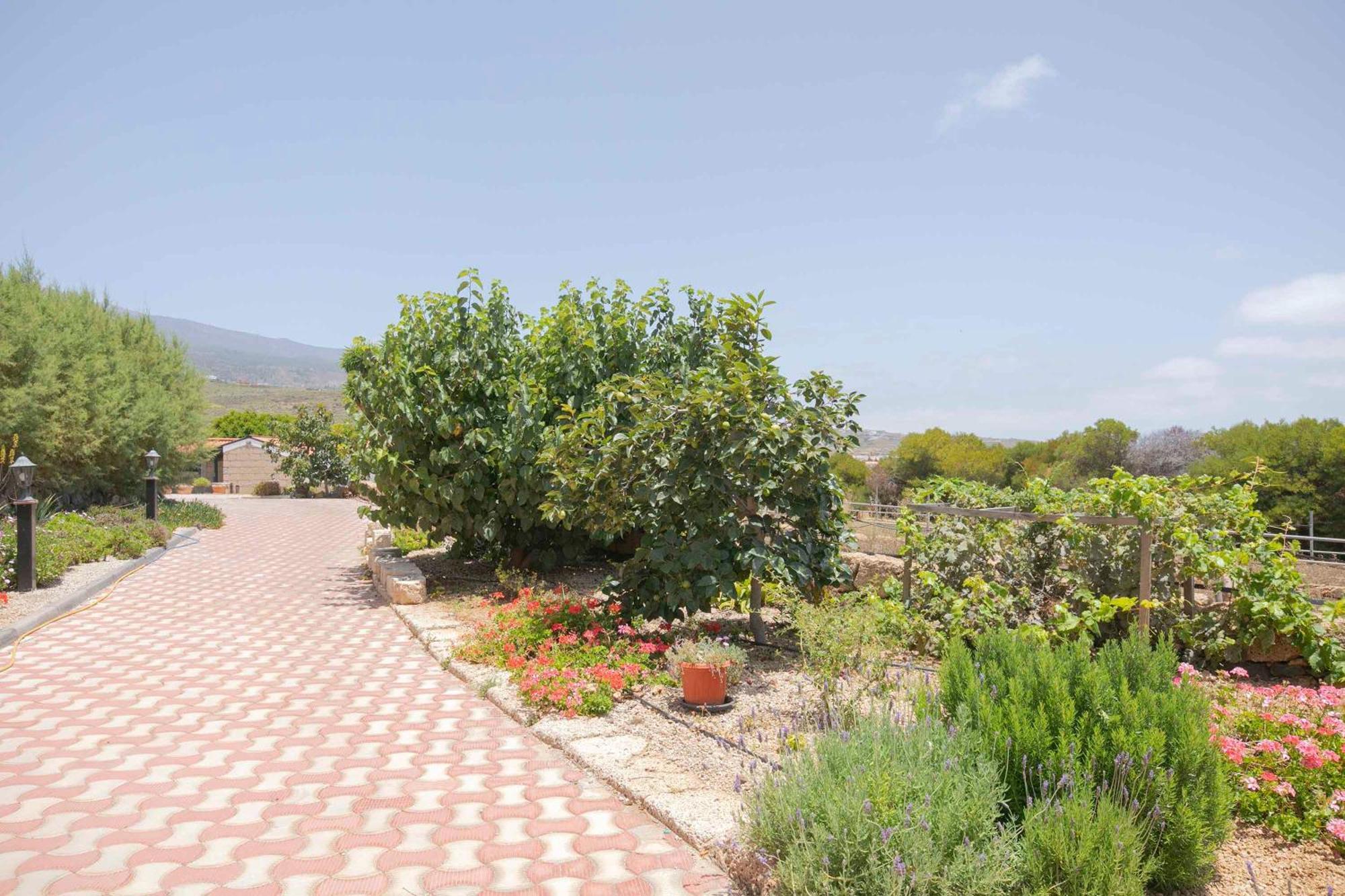 Casa Wayra Βίλα Granadilla De Abona Εξωτερικό φωτογραφία